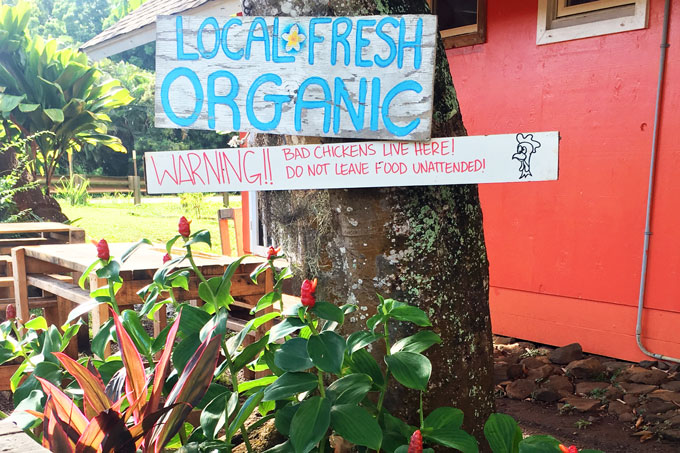 local fresh organic food
