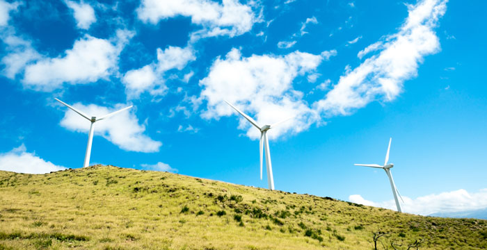 City Releases Clean Energy Vision Action Plan