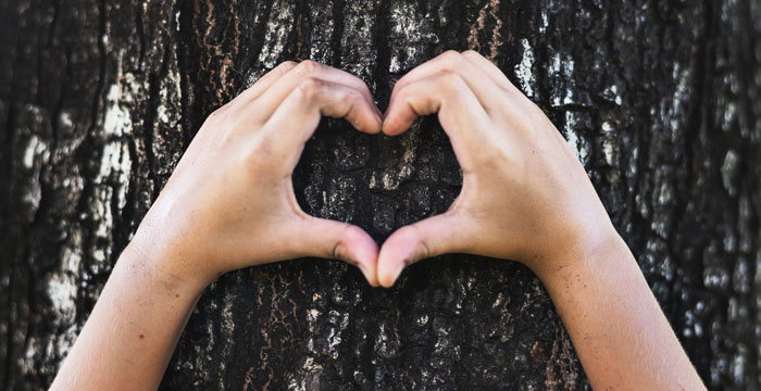 6 Ways To Give Back This Holiday Season