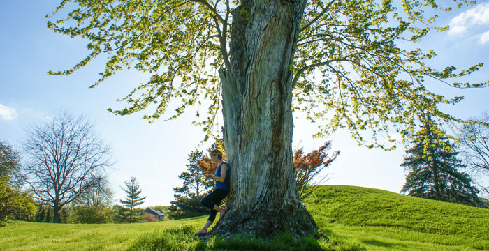 5 Green Books to Read this Earth Day