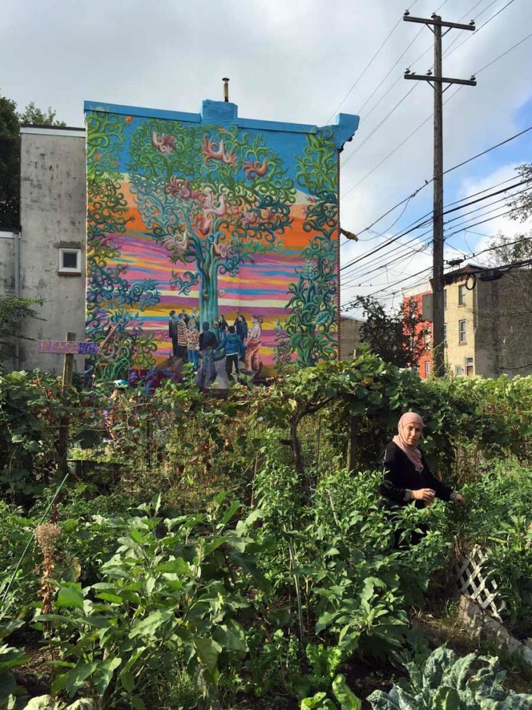 Philly community garden