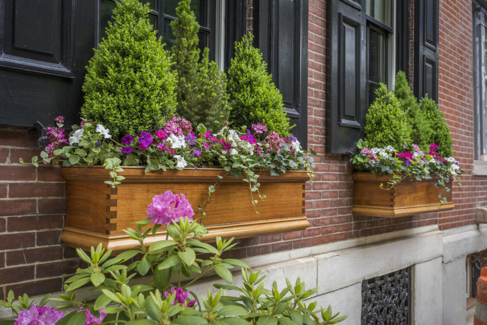 Enter your green thumb in PHS Gardening Contest