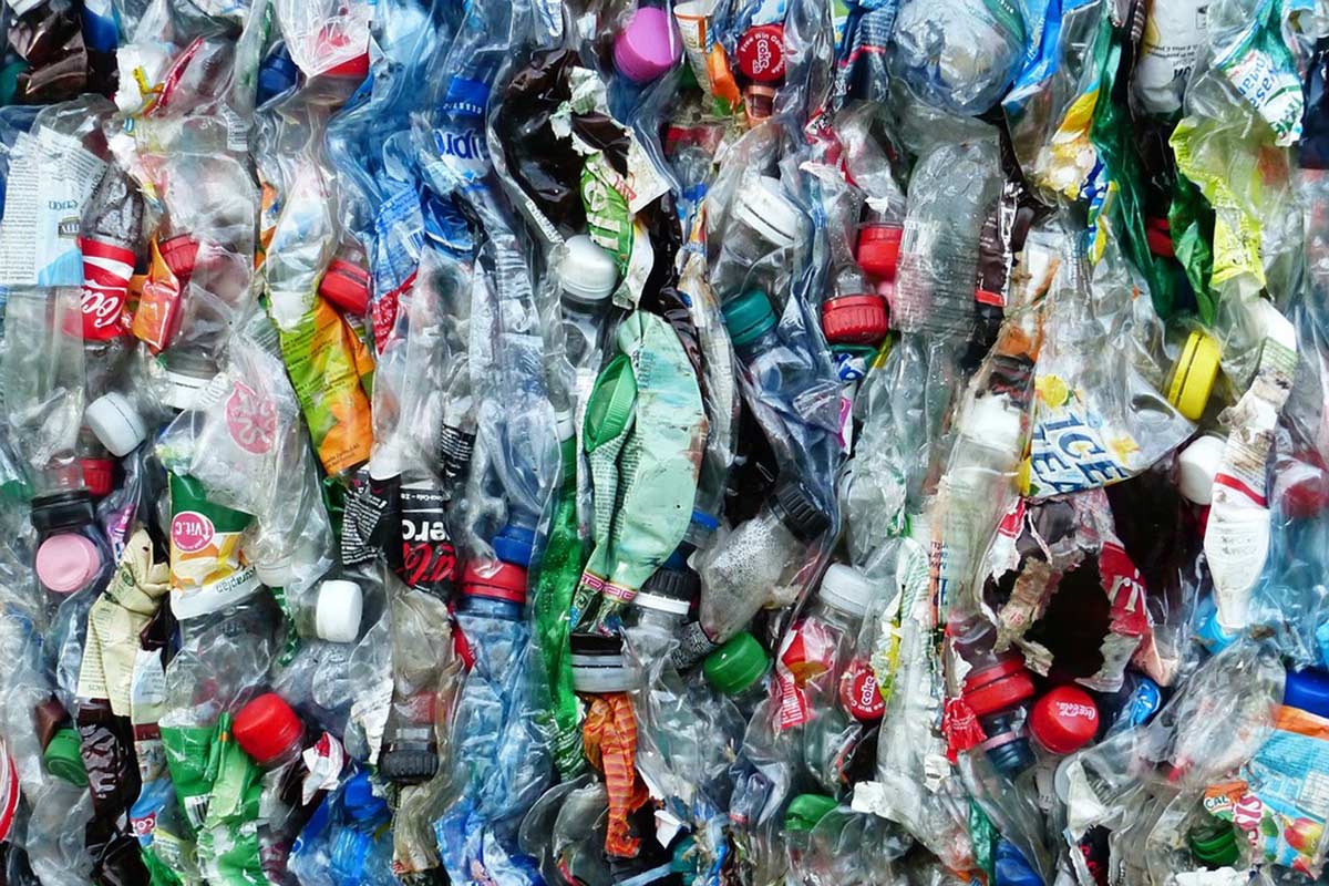 Can You Bag Your Recycling in Plastic Bags? – Green Philly