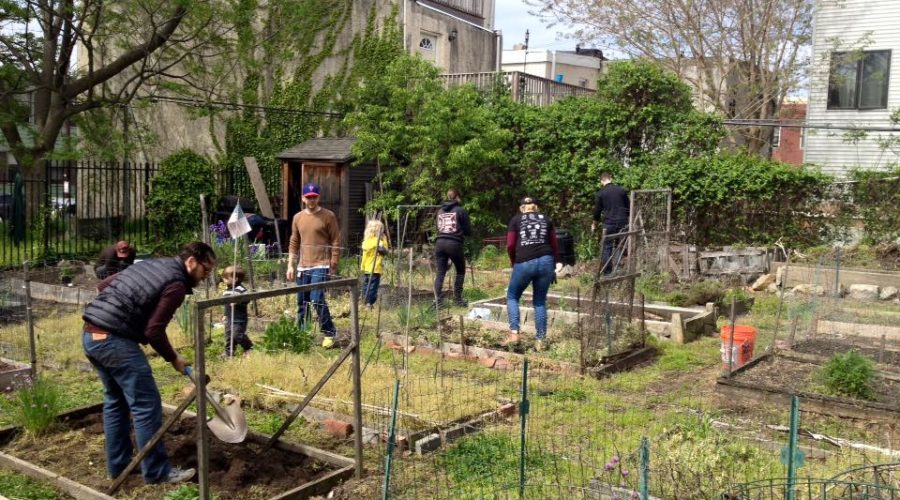 Join Green Philly & Neighborhood Gardens Trust at Community Gardens Day on Saturday