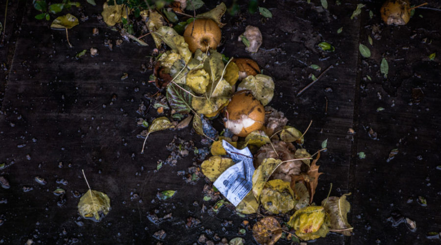 Where to Get Rid of Food Waste in Philly (and the ‘burbs)