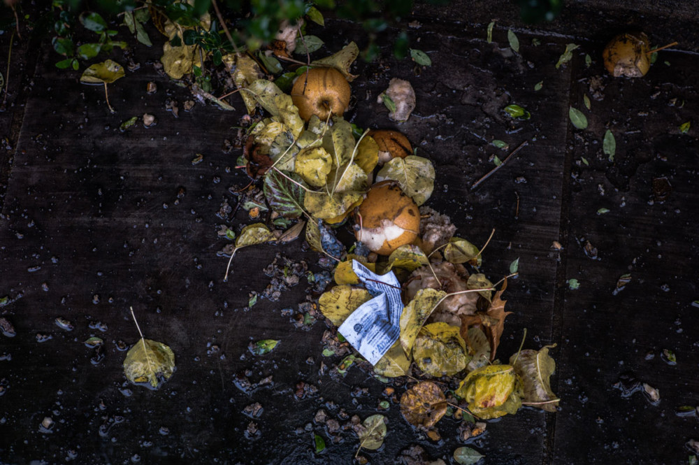 Where to Get Rid of Food Waste in Philly (and the ‘burbs)