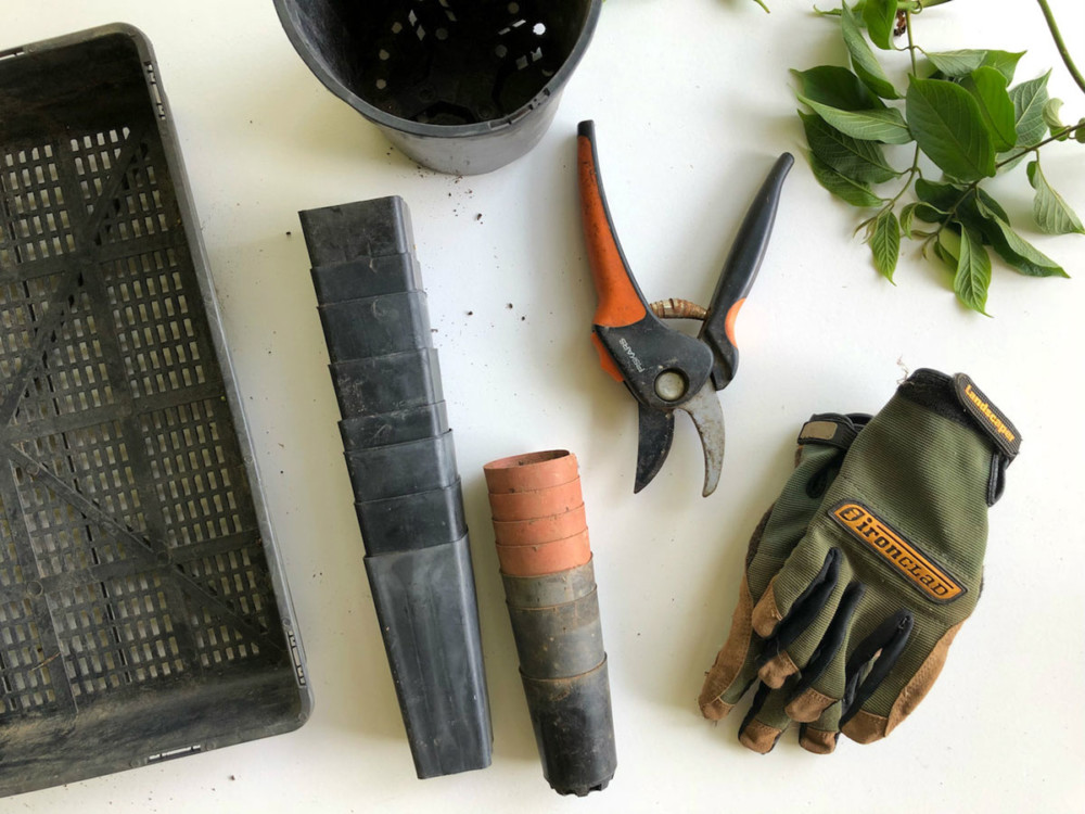 4 Tips for a Green Garden in Philly