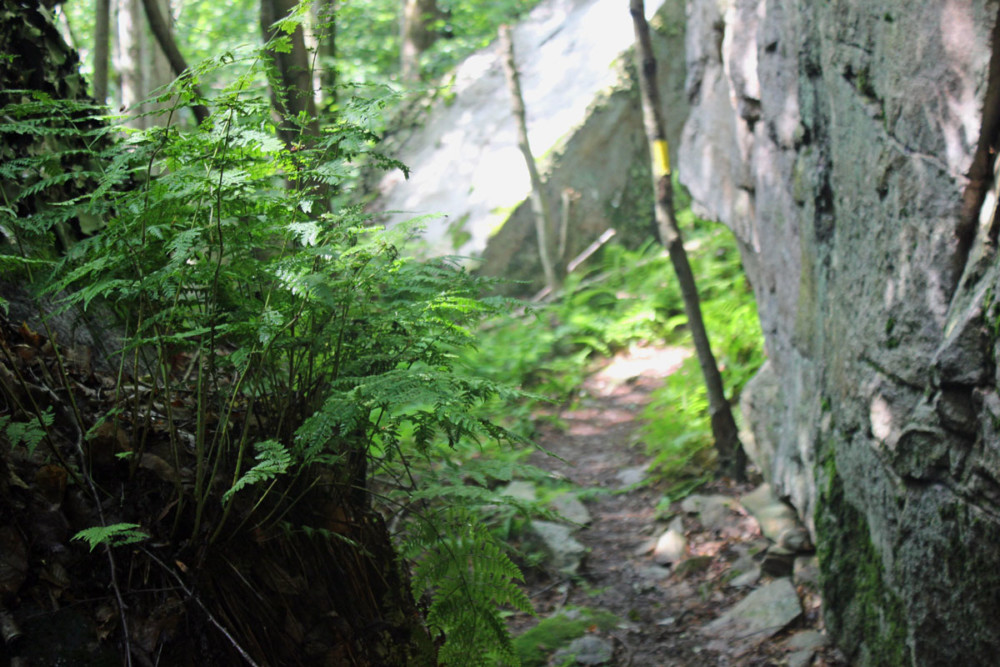 Worlds End Canyon Vista Trail