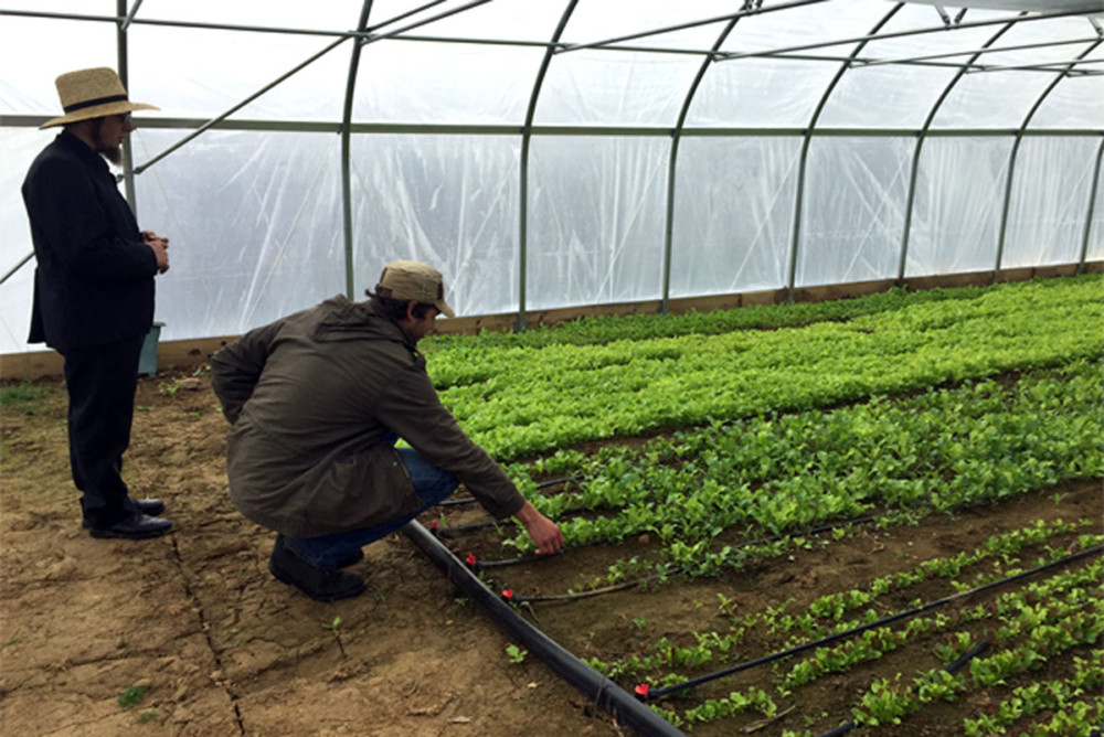 How Philly Foodworks is Creating a Better Food System for Our Region