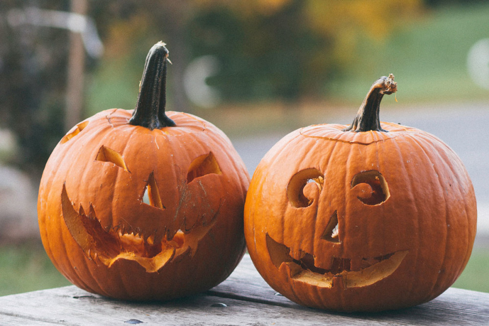 Don’t Trash Those Pumpkins – Where to Compost ’em