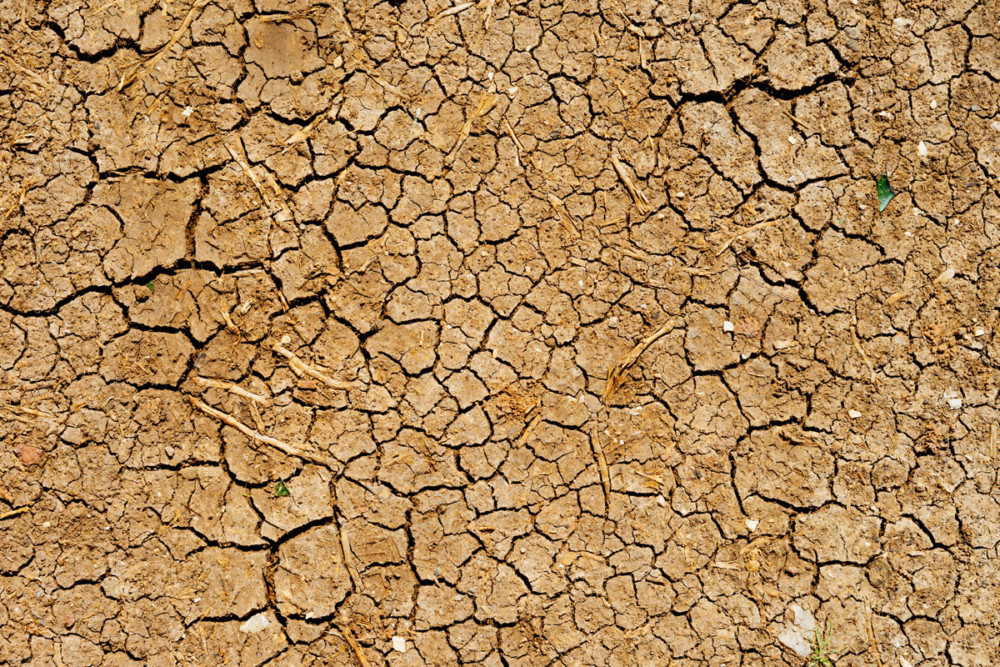 11,000 Scientists Declare Climate Emergency as US Begins to Pull out of Paris Accord