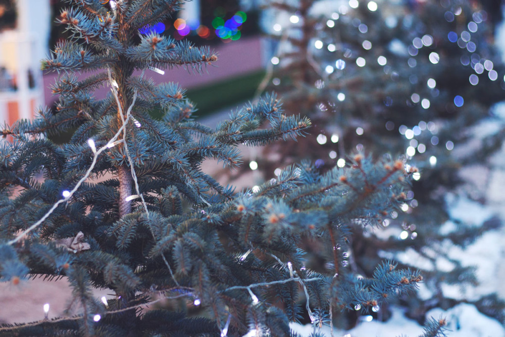 Where to Recycle Holiday Lights