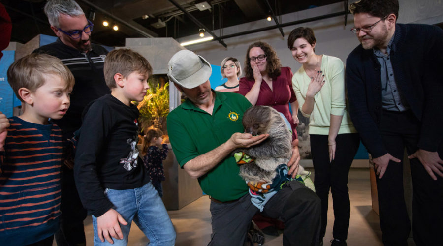 Slow-moving sloth, hedgehog & more live animals at The Academy of Natural Sciences