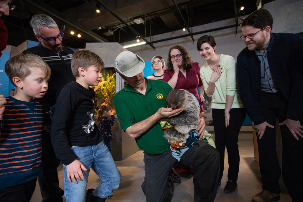 Slow-moving sloth, hedgehog & more live animals at The Academy of Natural Sciences