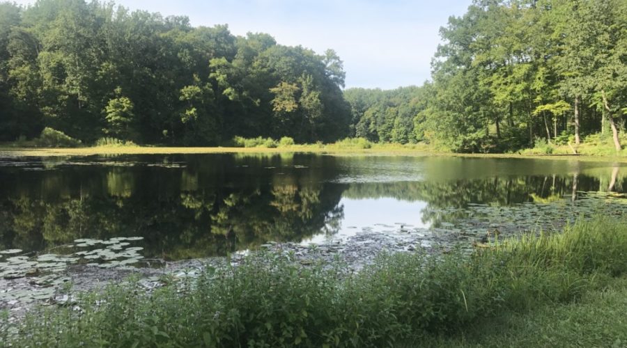 What is the Delaware Watershed?
