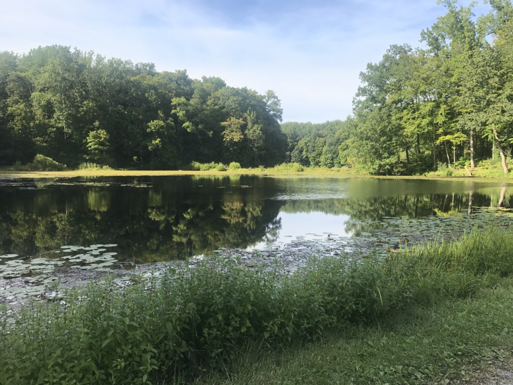 What is the Delaware Watershed?