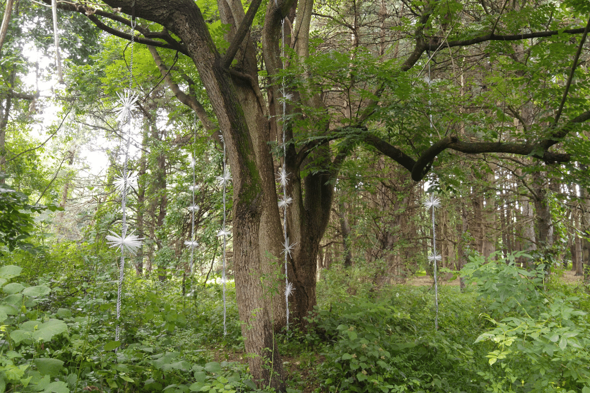 Steel chains, straws & styrofoam form functional art at the Schuylkill Center