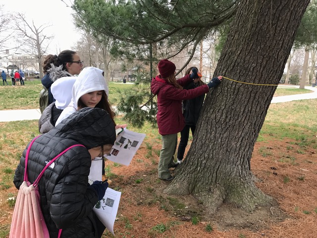 In Hunting Park, free trees come with an open mind
