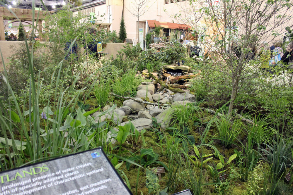 EPA 50 Philadelphia Flower Show 2020 Exhibit