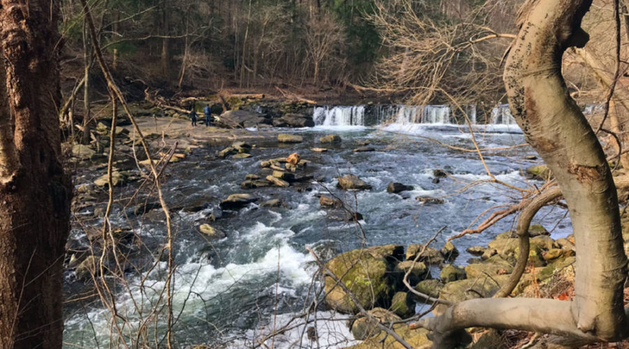 5 Things We Learned About the Delaware River Watershed From Four Local Experts