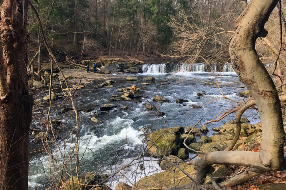 5 Things We Learned About the Delaware River Watershed From Four Local Experts