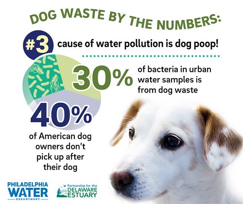 philadelphia water dog waste