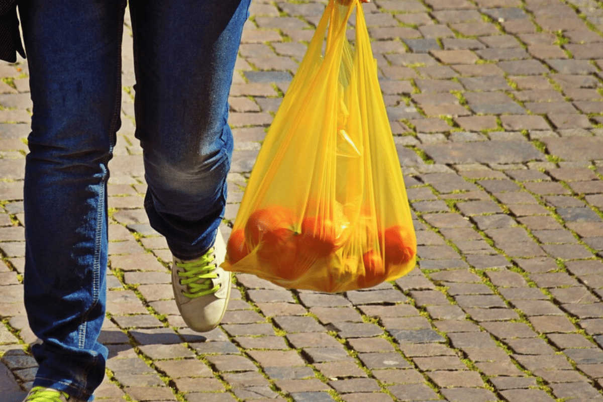 Plastic Bag Ban Pushed Back to 2021; City Announces on 50th Earth Day
