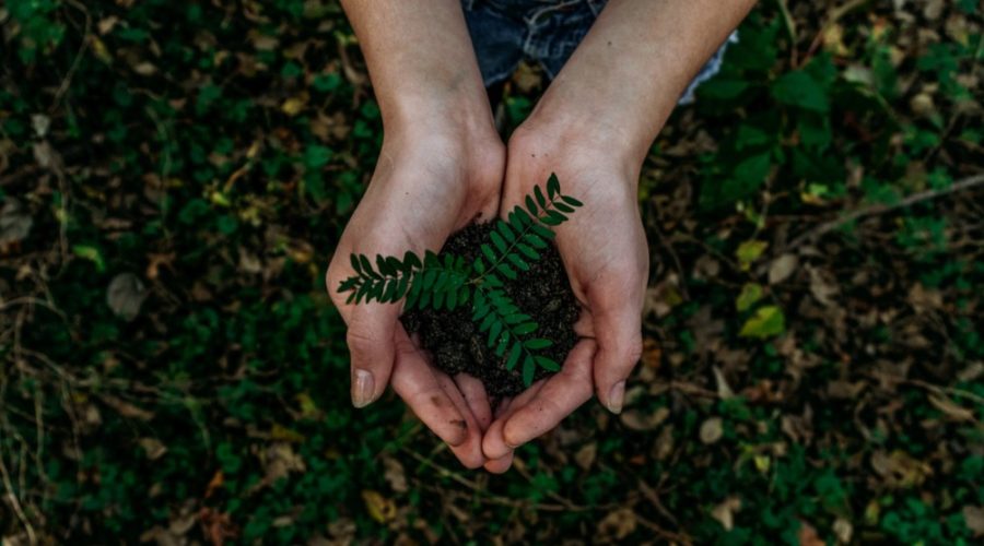 Celebrate Earth Day’s 50th Anniversary With these Fun Activities