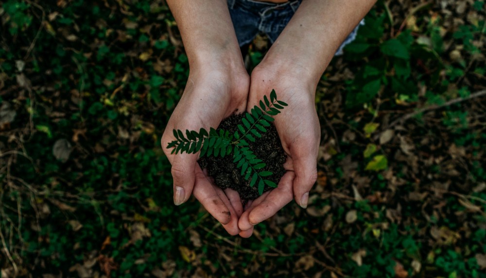 Celebrate Earth Day’s 50th Anniversary With these Fun Activities