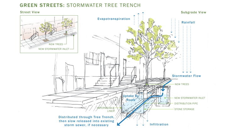 stormwater tree trench