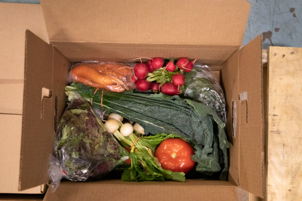 The Common Market food boxes
