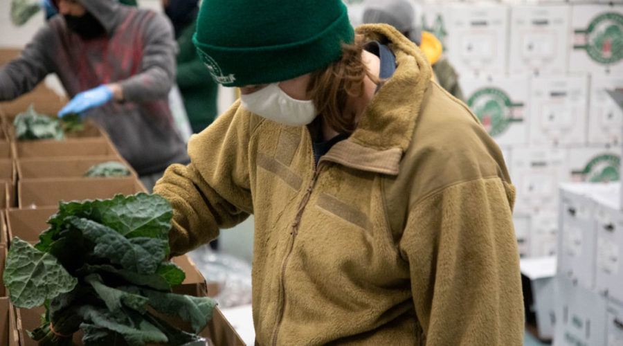The Common Market is Donating $3.9 Million of Fresh Produce to Locals Facing Food Insecurity