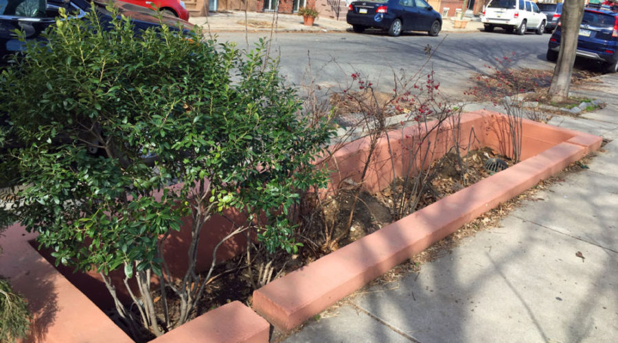 Eco-Explainer: What is Green Stormwater Infrastructure (GSI)?