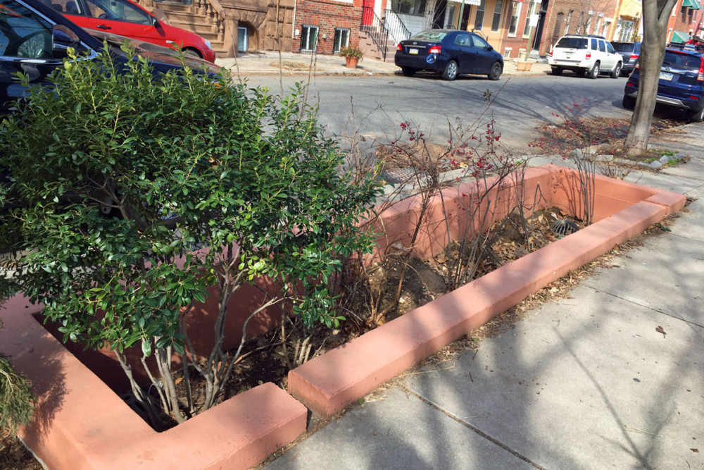 Eco-Explainer: What is Green Stormwater Infrastructure (GSI)?