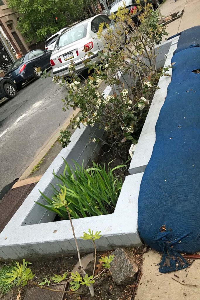 green stormwater infrastructure south philly