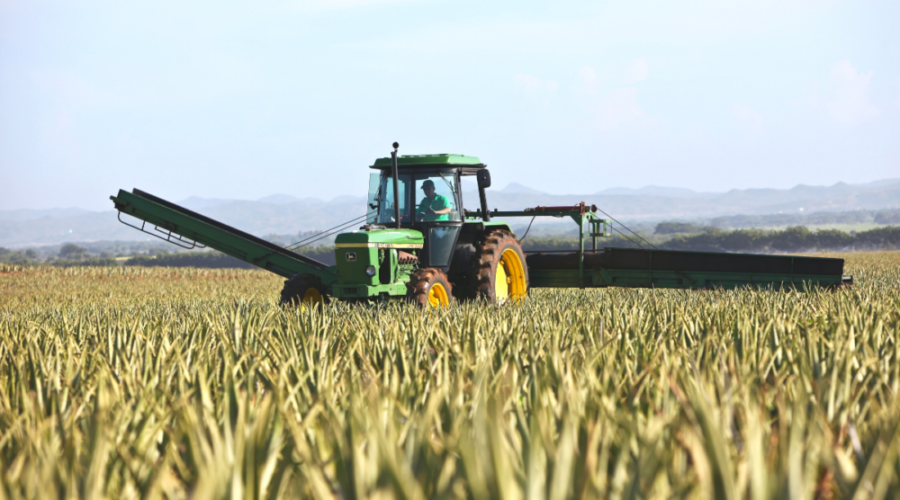 As COVID-19 Cases Rise, Local Migrant Farmworkers Afraid to Seek Healthcare for the Virus