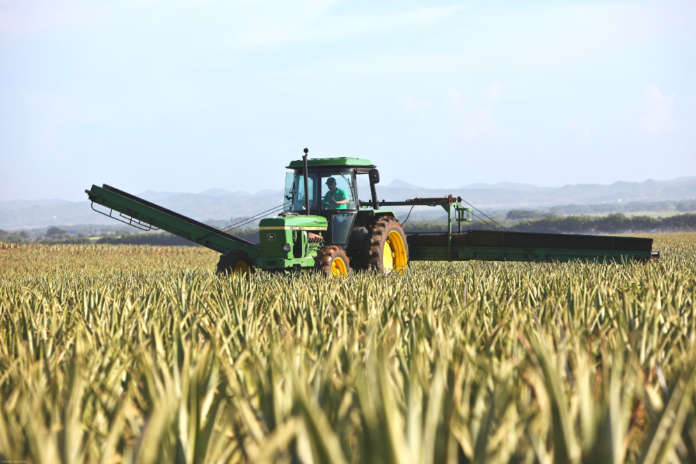 As COVID-19 Cases Rise, Local Migrant Farmworkers Afraid to Seek Healthcare for the Virus