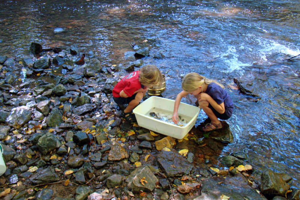 students exploring river-friendly school program raritan headwaters