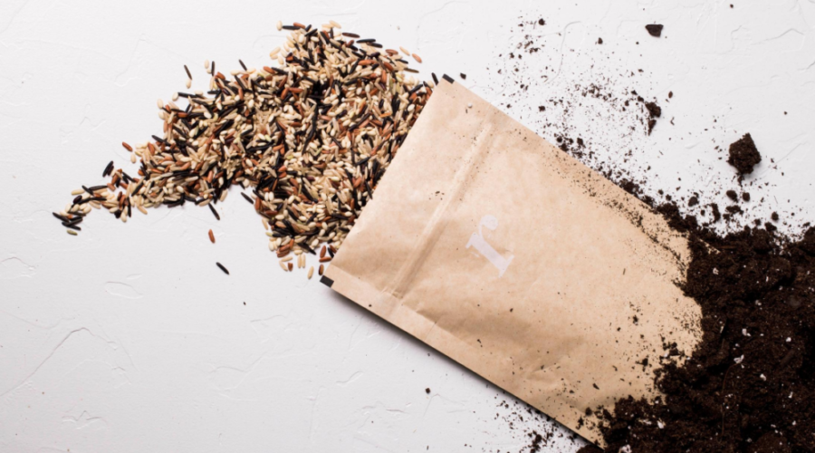 Meet Rise Mrkt, Philly’s New Digital Zero-Waste Store
