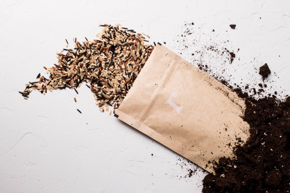 Meet Rise Mrkt, Philly’s New Digital Zero-Waste Store