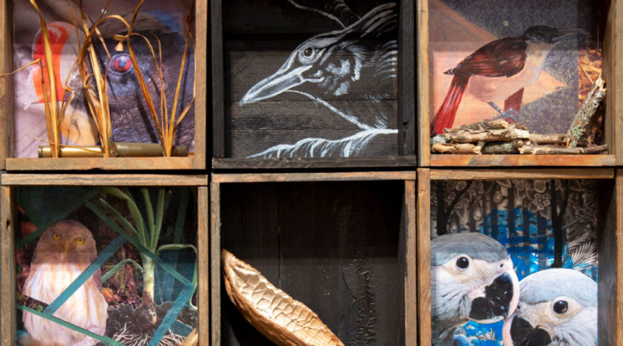 ‘Ecotactical’ Art Exhibit celebrates conservation, environmental justice & activism; debuting soon at Schuylkill Center