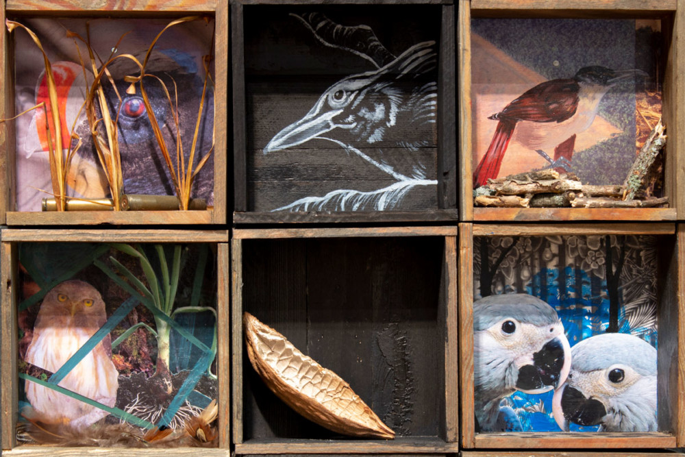 ‘Ecotactical’ Art Exhibit celebrates conservation, environmental justice & activism; debuting soon at Schuylkill Center