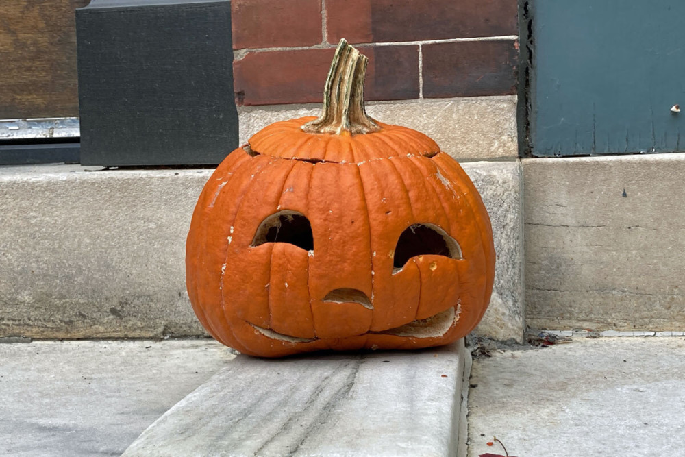 Where to Compost Pumpkins After Halloween