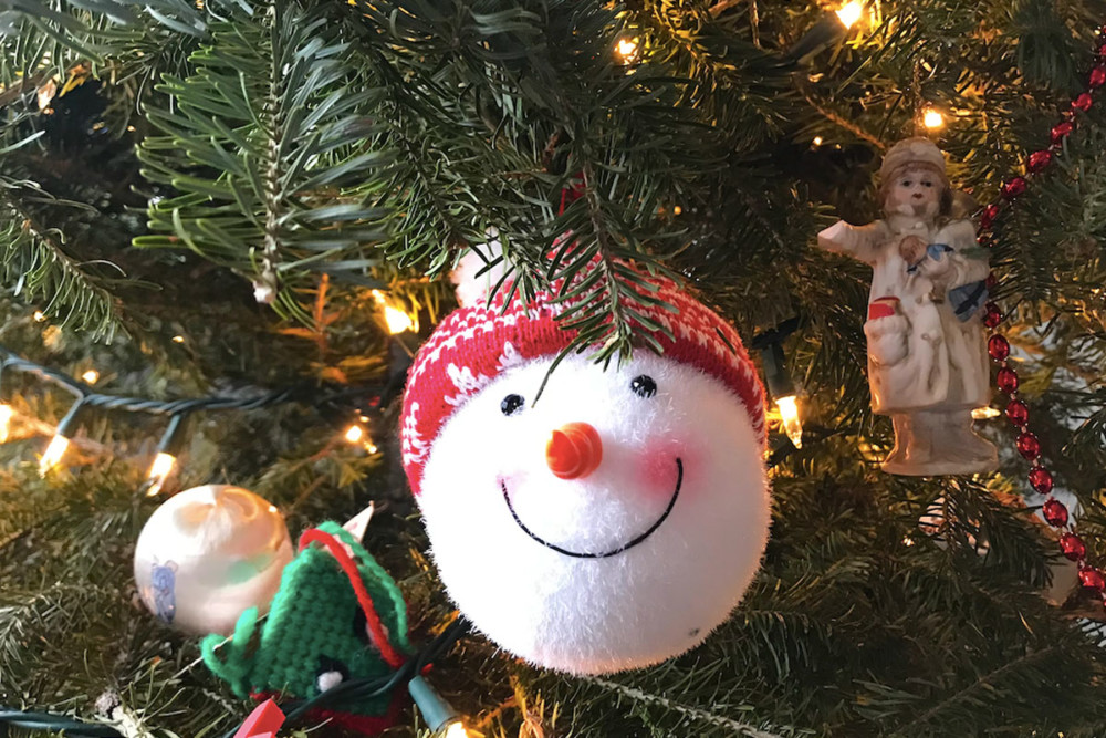 Don’t toss your tree – where to recycle it in 2020 Christmas Tree Recycling!
