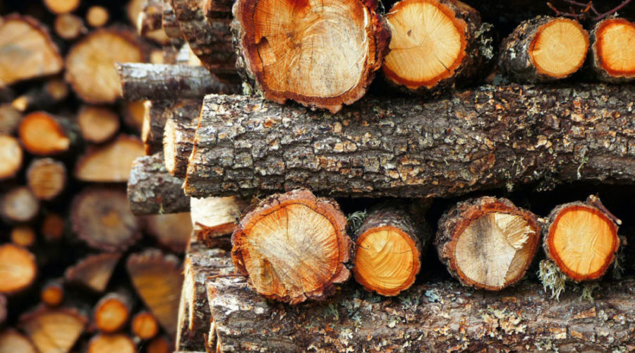 Where to Get Firewood in Philadelphia