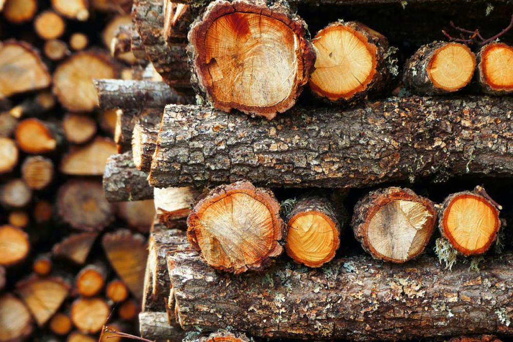 Where to Get Firewood in Philadelphia