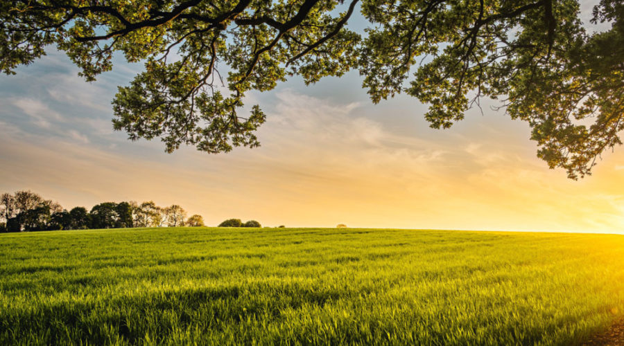 Montco Preserves 10,000 acres of farmland