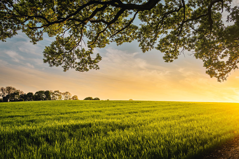 Montco Preserves 10,000 acres of farmland