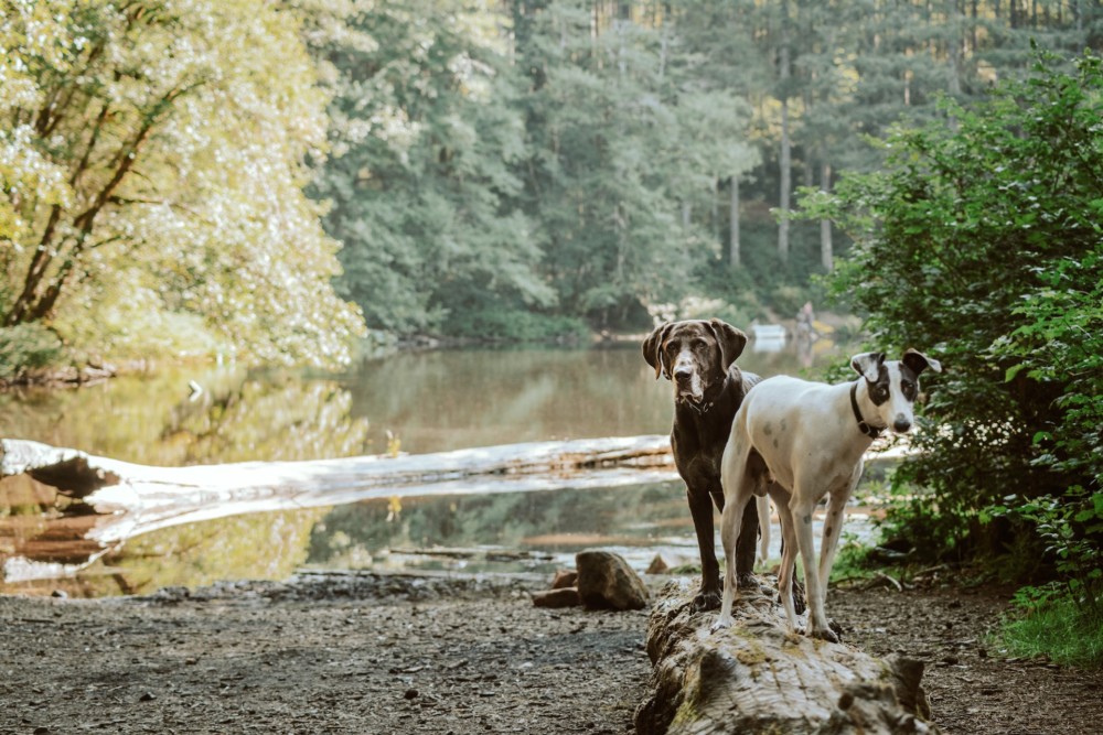 Philadelphia’s litter is notorious. It also harms our waterways.
