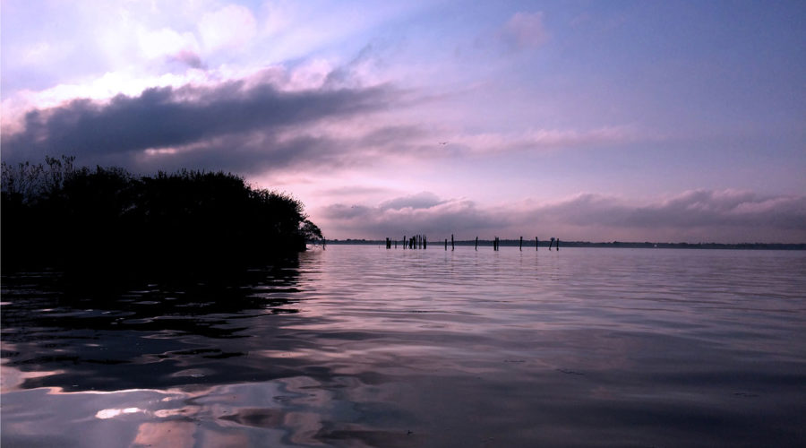 Congress votes to invest $50 Million In Nation’s Estuaries